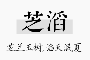 芝滔名字的寓意及含义