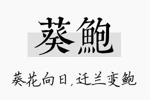 葵鲍名字的寓意及含义