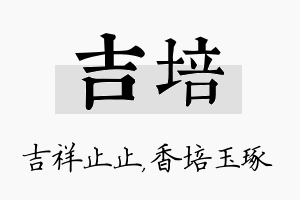 吉培名字的寓意及含义