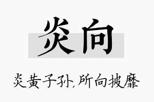 炎向名字的寓意及含义