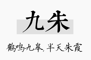 九朱名字的寓意及含义