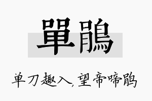 单鹃名字的寓意及含义