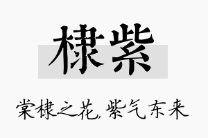 棣紫名字的寓意及含义