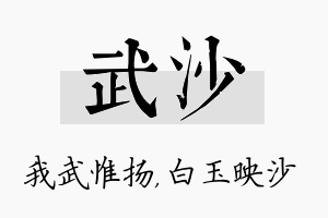 武沙名字的寓意及含义