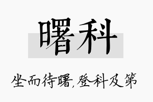 曙科名字的寓意及含义