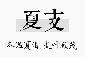 夏支名字的寓意及含义