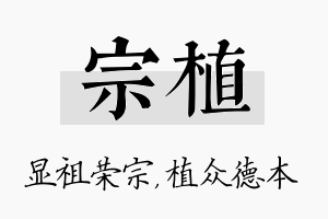 宗植名字的寓意及含义