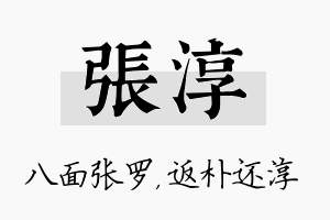 张淳名字的寓意及含义