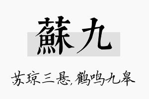 苏九名字的寓意及含义