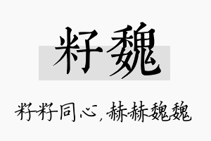 籽魏名字的寓意及含义