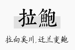 拉鲍名字的寓意及含义