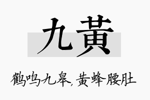 九黄名字的寓意及含义