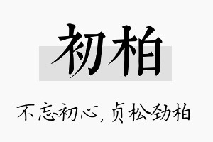 初柏名字的寓意及含义