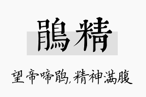 鹃精名字的寓意及含义