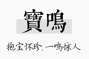 宝鸣名字的寓意及含义