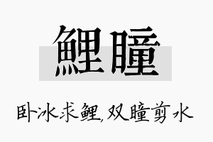 鲤瞳名字的寓意及含义