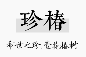 珍椿名字的寓意及含义