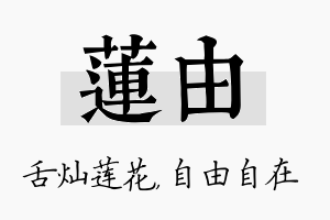 莲由名字的寓意及含义