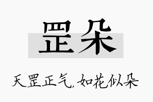 罡朵名字的寓意及含义