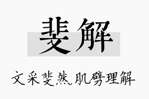 斐解名字的寓意及含义