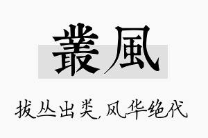 丛风名字的寓意及含义