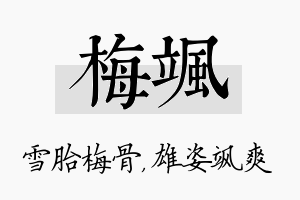 梅飒名字的寓意及含义