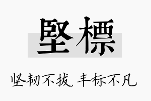 坚标名字的寓意及含义