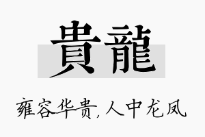 贵龙名字的寓意及含义