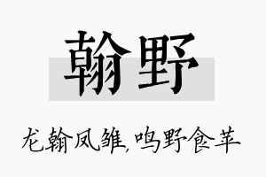 翰野名字的寓意及含义