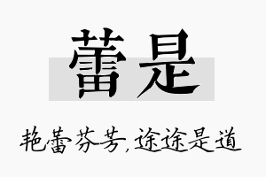 蕾是名字的寓意及含义