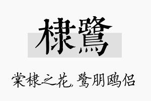 棣鹭名字的寓意及含义