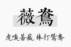 薇鸯名字的寓意及含义