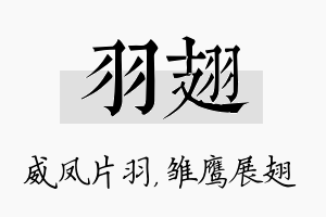 羽翅名字的寓意及含义