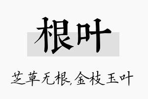 根叶名字的寓意及含义