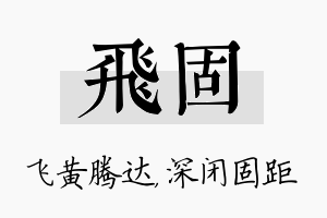 飞固名字的寓意及含义