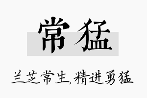 常猛名字的寓意及含义