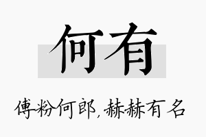 何有名字的寓意及含义