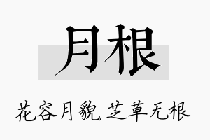 月根名字的寓意及含义