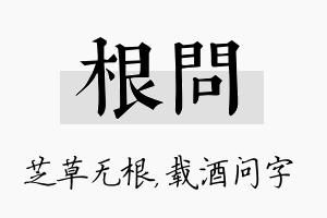 根问名字的寓意及含义