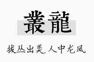 丛龙名字的寓意及含义