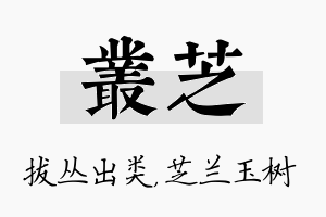 丛芝名字的寓意及含义