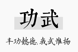 功武名字的寓意及含义