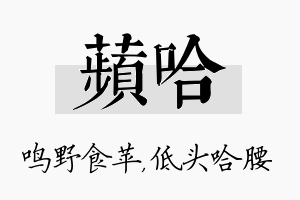 苹哈名字的寓意及含义