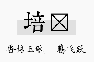 培犇名字的寓意及含义