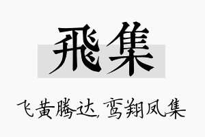 飞集名字的寓意及含义