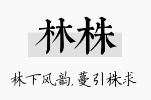 林株名字的寓意及含义