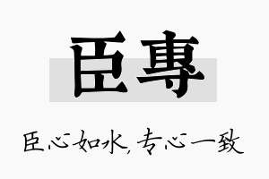 臣专名字的寓意及含义