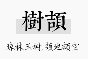 树颉名字的寓意及含义