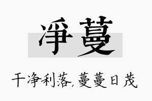 净蔓名字的寓意及含义