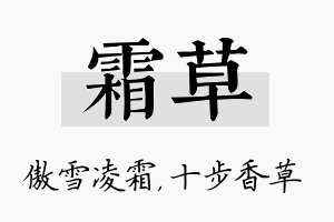 霜草名字的寓意及含义